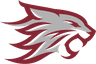 Chico State logo