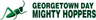 Georgetown Day logo