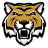 North Allegheny logo