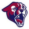 Perry logo