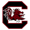 South Carolina logo