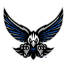 South Forsyth logo